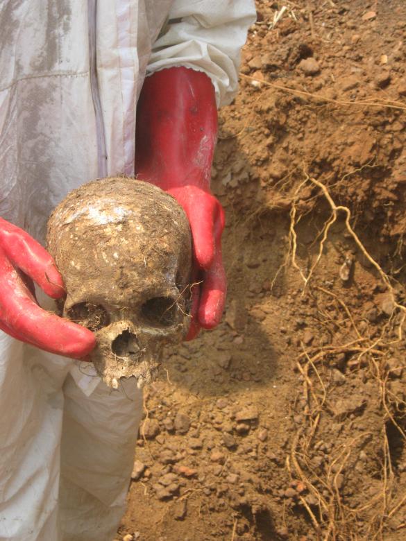 Le crâne d’une victime retrouvé dans une fosse commune près de la base des forces de maintien de la paix à Boali, en République centrafricaine. La victime est supposée être un individu qui a été sommairement exécuté par des soldats de maintien de la paix de la République du Congo le 24 mars 2014.  
