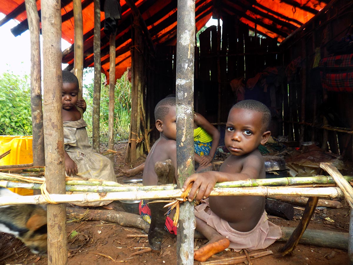 Enfants Pygmées dans le Parc national de Kahuzi-Biega