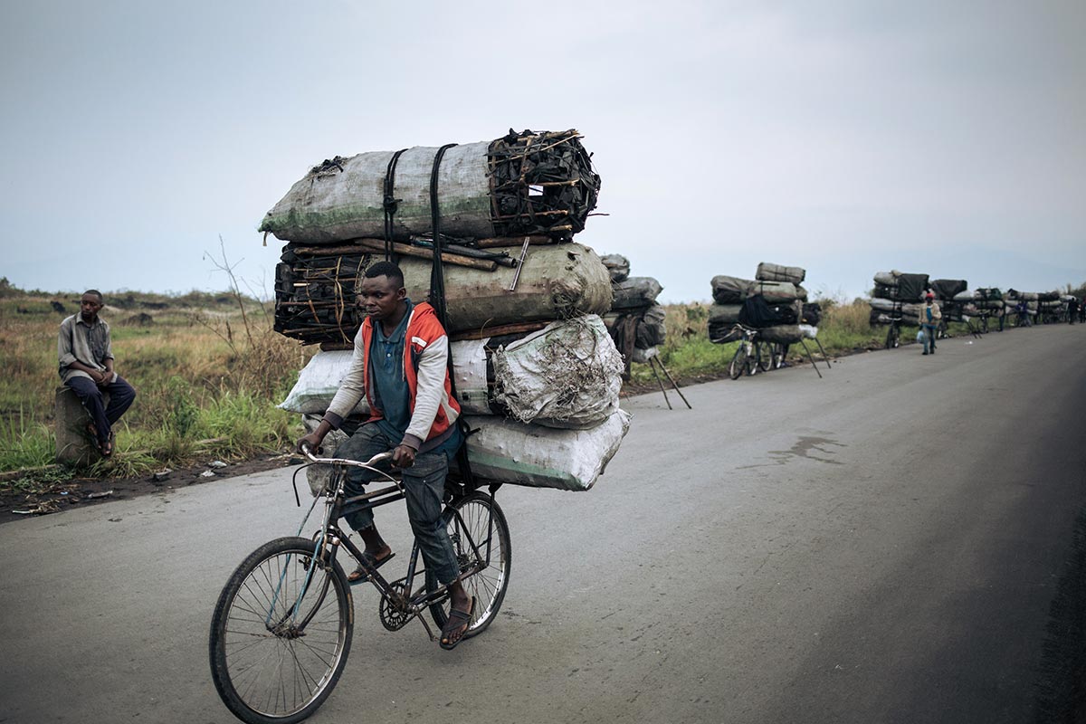 Cycliste transportant du charbon vers Goma