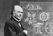Revising the past: A Swiss response to a global debate Revising the past: A Swiss response to a global debate