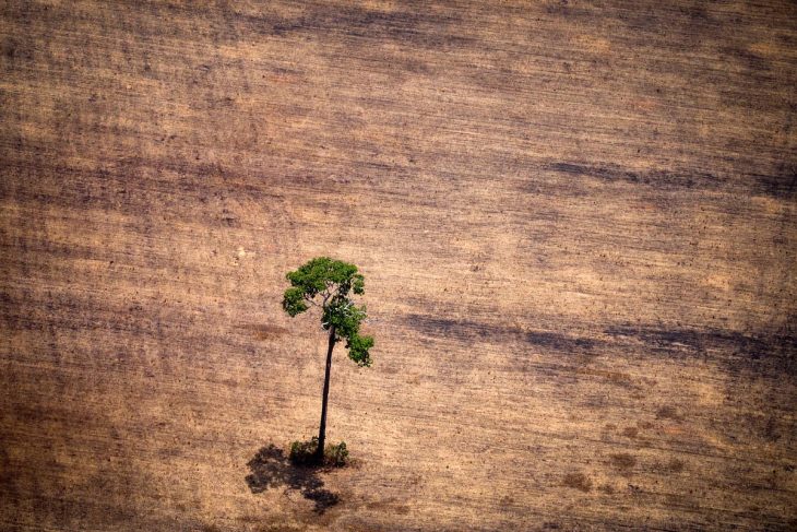 Crimes contre l’environnement : la justice pénale internationale dans l’impasse