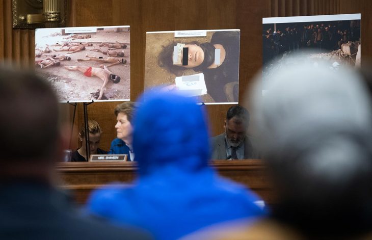 "For the first time, torture committed by the Assad regime will be discussed in a court"