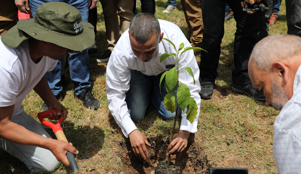 Le major Gustavo Soto Bracamonte et le colonel Gabriel de Jesús Rincón, tous deux inculpés de crimes de guerre et de crimes contre l'humanité, plantent un jeune arbre de sauge noire lors du lancement du projet pilote de restauration de l'environnement près de Bogota, en Colombie.