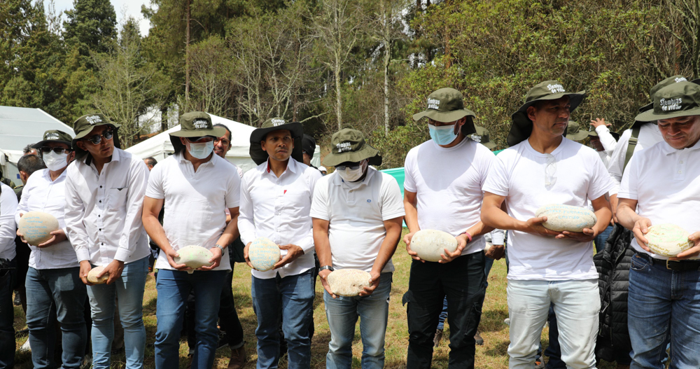 A group of military officials that have not been charged are shot lined up and restoring a forest near Bogotá.