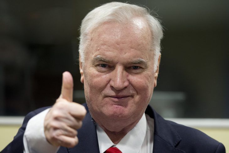 Mladic genocide verdict hailed as victory for justice