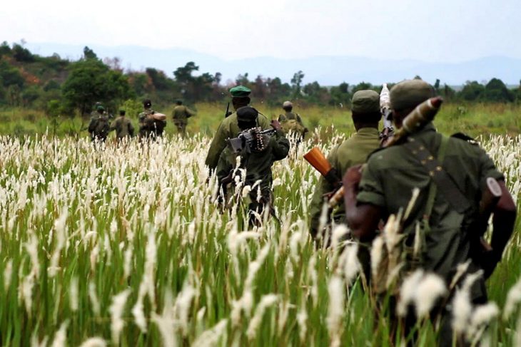 Bled by armed groups, Congo’s Virunga Park wants justice