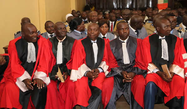 Central African lawyers prepare for Special Criminal Court