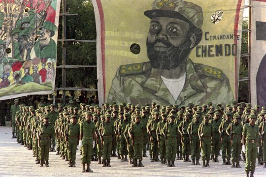 En Angola, la difficile réconciliation entre UNITA et gouvernement - Photo d'un bataillon de soldats en 1982.