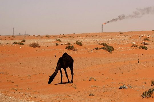Justice climatique - Un dromadaire dans un désert en Arabie saoudite. En arrière plan, une installation pétrolière du géant du pétrole Saudi Aramco.