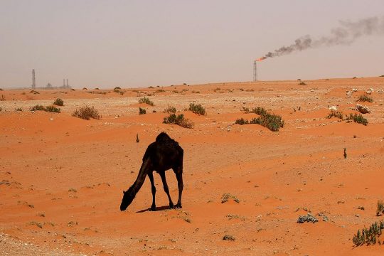 Climate justice - A camel in a desert in Saudi Arabia. In the background, an oil facility of the oil giant Saudi Aramco.