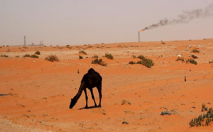 Climate justice - A camel in a desert in Saudi Arabia. In the background, an oil facility of the oil giant Saudi Aramco.