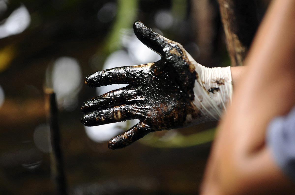 Quelqu'un montre une main gantée recouverte de pétrole.