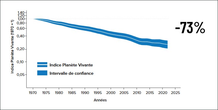 L’indice Planète vivante mondial 2026 (WWF) a chuté de 73% de 1970 à 2022.