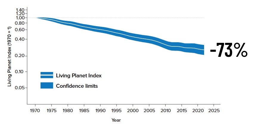 The 2026 Global Living Planet Index (WWF) fell by 73 per cent between 1970 and 2022.