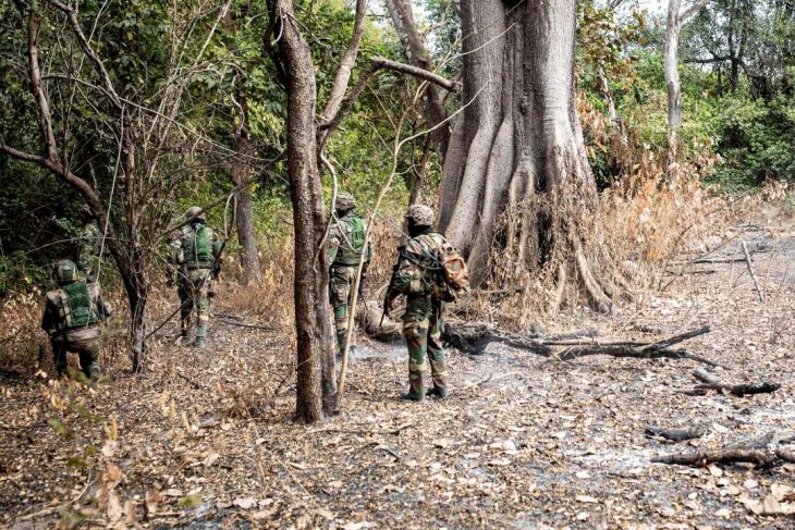 Une patrouille de soldats sénégalais dans la forêt de Casamance (Blaze Forest)