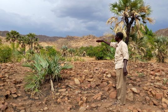 Youssef Babiker Kafi, Sudan