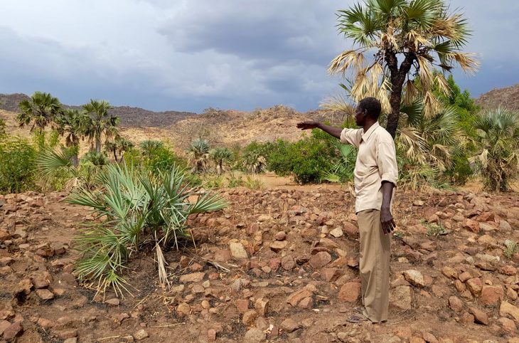 Youssef Babiker Kafi, Sudan