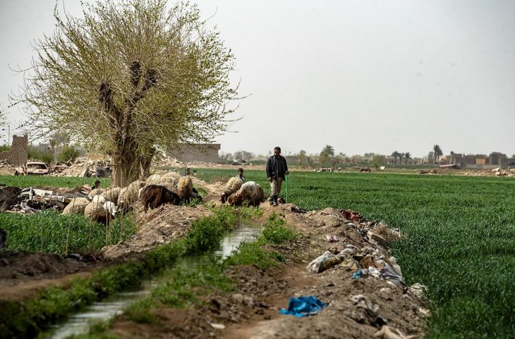 Landscape of the region of Deir ez-Zor in Syria