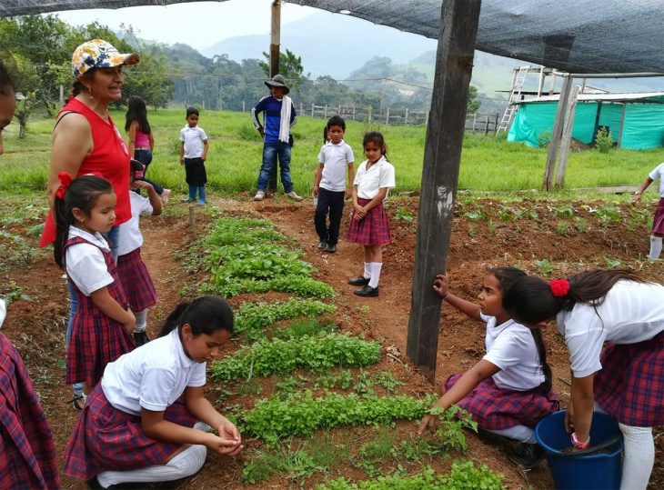 Le Covid-19 éloigne encore plus les réparations en Colombie