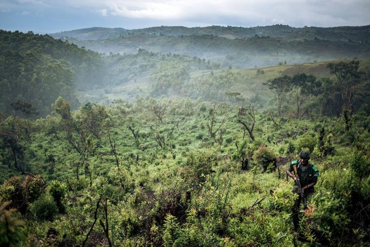 DRC: Outcry as indigenous people convicted for “wicked destruction of nature”