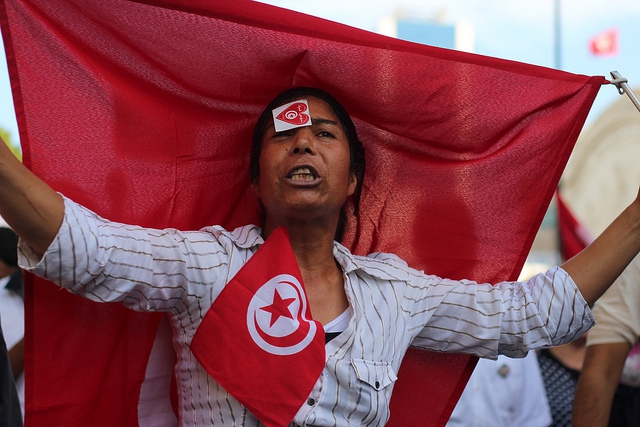 TRANSITIONAL JUSTICE IN TUNISIA – IN BRIEF